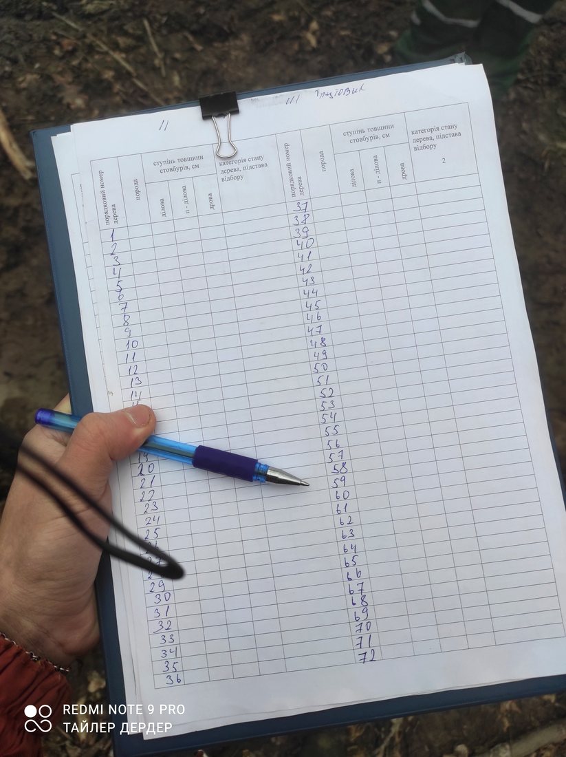 Робочі записи та нотатки