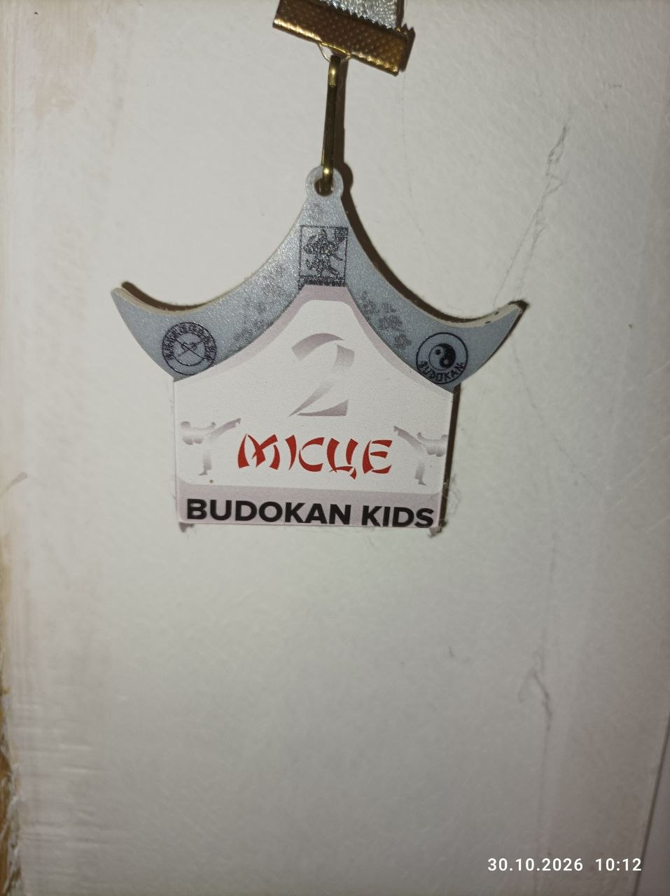 Медаль Budokan Kids