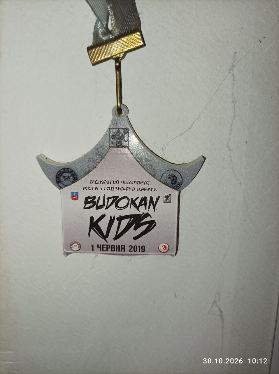 Відзнака з відкритого чемпіонату з годзю-рю карате Budokan Kids, 1 червня 2019 року