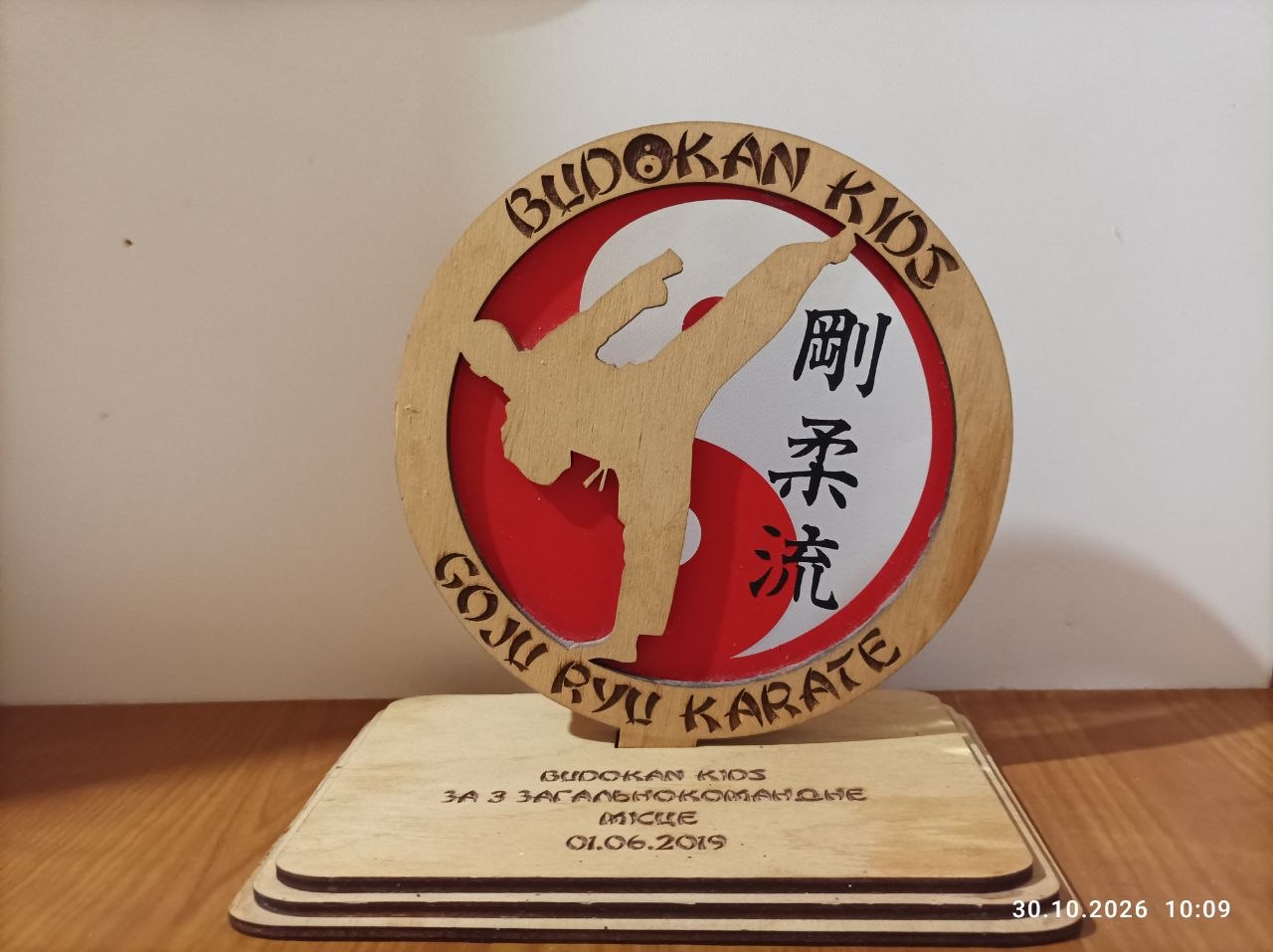 Кубок Budokan Kids за змагання з годзю-рю карате